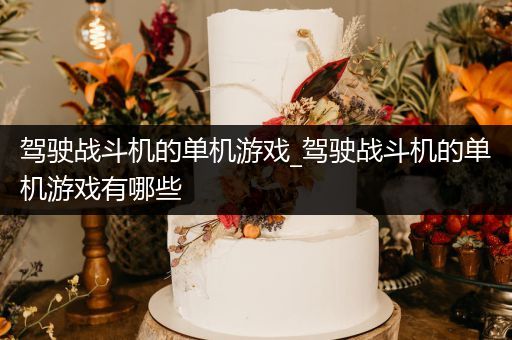 驾驶战斗机的单机游戏_驾驶战斗机的单机游戏有哪些