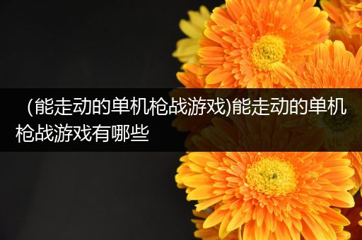 （能走动的单机枪战游戏)能走动的单机枪战游戏有哪些