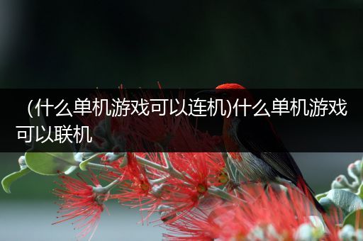 （什么单机游戏可以连机)什么单机游戏可以联机