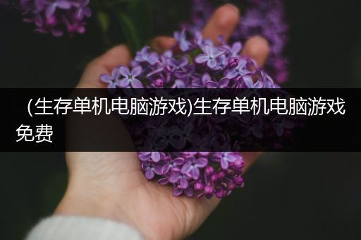 （生存单机电脑游戏)生存单机电脑游戏免费