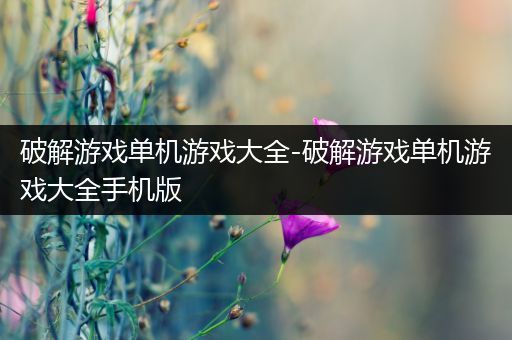 破解游戏单机游戏大全-破解游戏单机游戏大全手机版