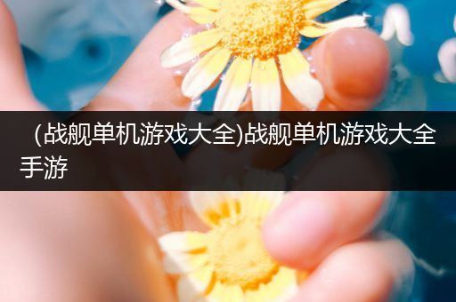 （战舰单机游戏大全)战舰单机游戏大全手游