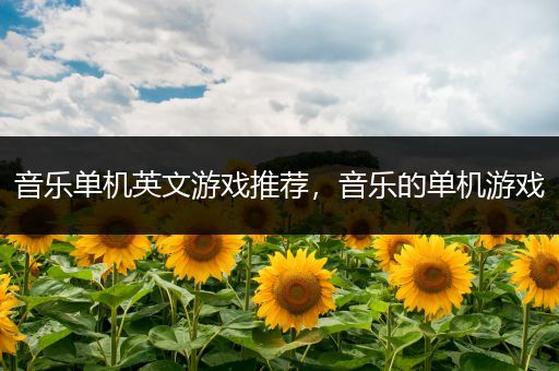 音乐单机英文游戏推荐，音乐的单机游戏