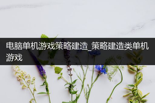 电脑单机游戏策略建造_策略建造类单机游戏