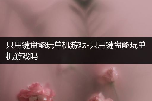 只用键盘能玩单机游戏-只用键盘能玩单机游戏吗