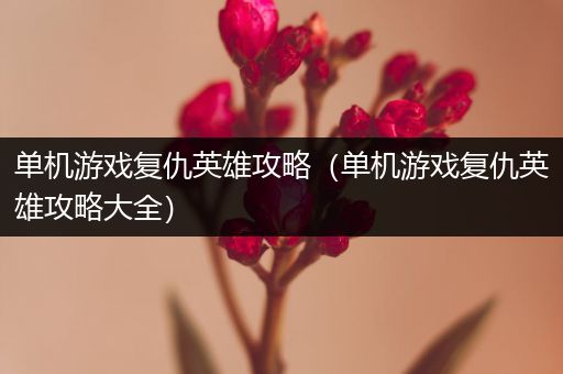 单机游戏复仇英雄攻略（单机游戏复仇英雄攻略大全）