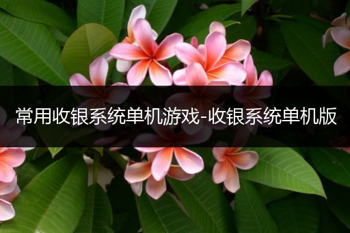 常用收银系统单机游戏-收银系统单机版