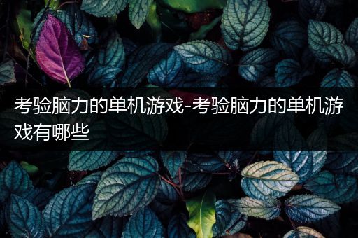考验脑力的单机游戏-考验脑力的单机游戏有哪些