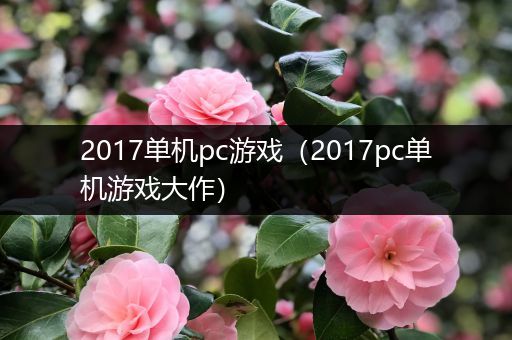 2017单机pc游戏（2017pc单机游戏大作）