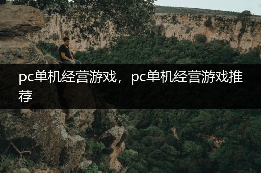 pc单机经营游戏，pc单机经营游戏推荐