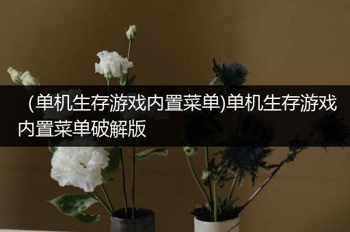 （单机生存游戏内置菜单)单机生存游戏内置菜单破解版