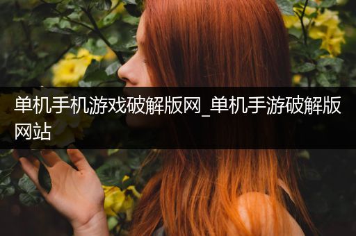 单机手机游戏破解版网_单机手游破解版网站