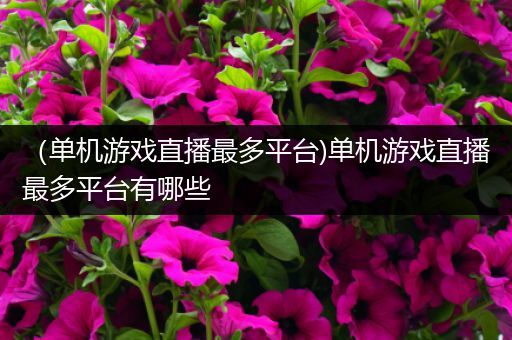 （单机游戏直播最多平台)单机游戏直播最多平台有哪些
