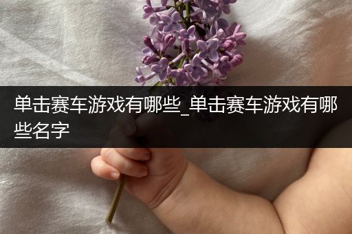 单击赛车游戏有哪些_单击赛车游戏有哪些名字