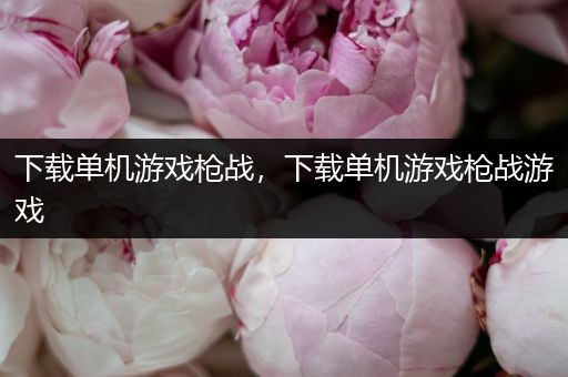 下载单机游戏枪战，下载单机游戏枪战游戏
