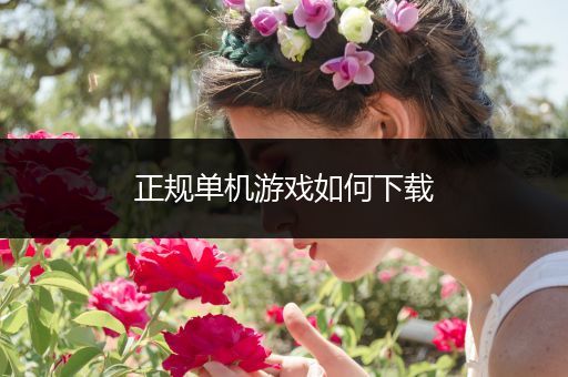 正规单机游戏如何下载