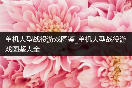 单机大型战役游戏图鉴_单机大型战役游戏图鉴大全