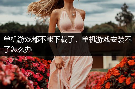 单机游戏都不能下载了，单机游戏安装不了怎么办