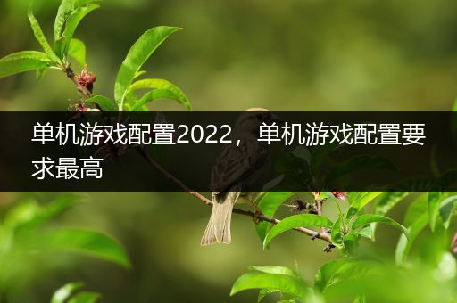 单机游戏配置2022，单机游戏配置要求最高