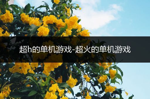 超h的单机游戏-超火的单机游戏