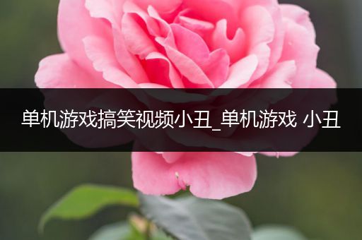 单机游戏搞笑视频小丑_单机游戏 小丑