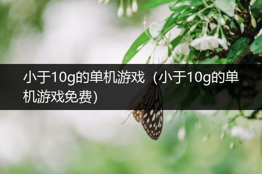 小于10g的单机游戏（小于10g的单机游戏免费）