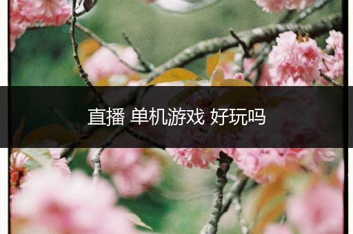 直播 单机游戏 好玩吗