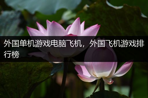 外国单机游戏电脑飞机，外国飞机游戏排行榜