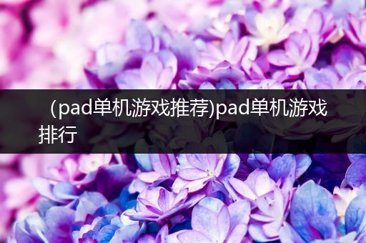 （pad单机游戏推荐)pad单机游戏排行