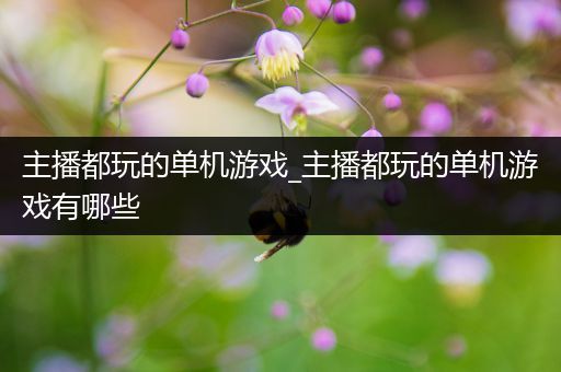 主播都玩的单机游戏_主播都玩的单机游戏有哪些