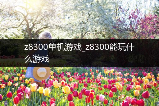 z8300单机游戏_z8300能玩什么游戏