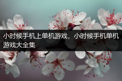 小时候手机上单机游戏，小时候手机单机游戏大全集