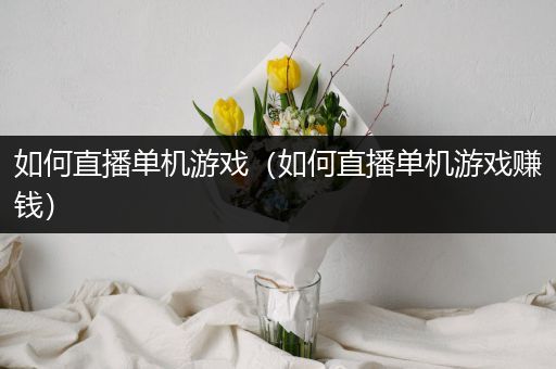 如何直播单机游戏（如何直播单机游戏赚钱）