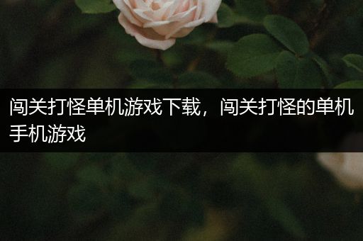 闯关打怪单机游戏下载，闯关打怪的单机手机游戏