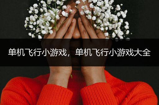 单机飞行小游戏，单机飞行小游戏大全