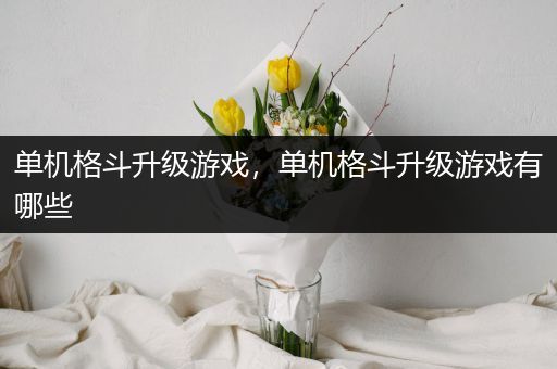 单机格斗升级游戏，单机格斗升级游戏有哪些