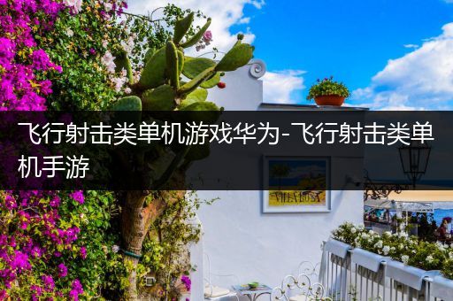飞行射击类单机游戏华为-飞行射击类单机手游