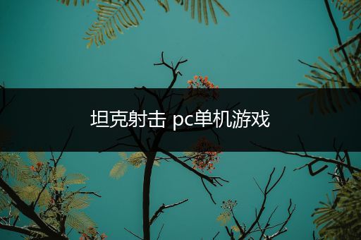 坦克射击 pc单机游戏