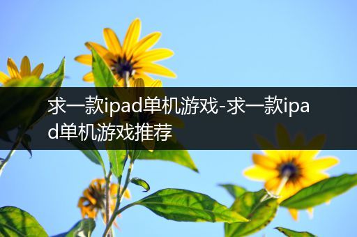 求一款ipad单机游戏-求一款ipad单机游戏推荐