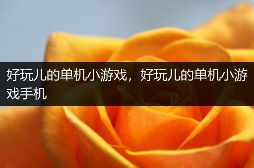好玩儿的单机小游戏，好玩儿的单机小游戏手机