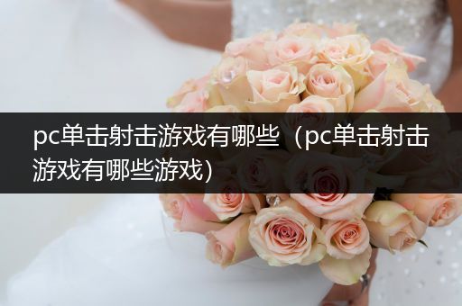 pc单击射击游戏有哪些（pc单击射击游戏有哪些游戏）