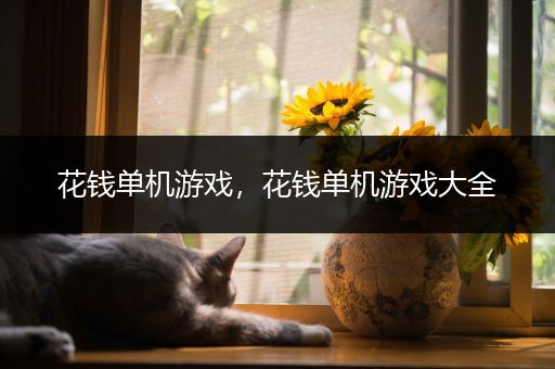 花钱单机游戏，花钱单机游戏大全
