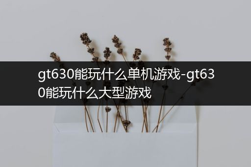 gt630能玩什么单机游戏-gt630能玩什么大型游戏