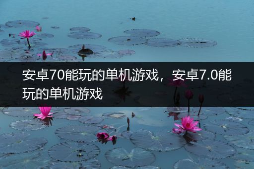 安卓70能玩的单机游戏，安卓7.0能玩的单机游戏