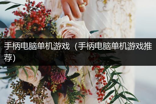 手柄电脑单机游戏（手柄电脑单机游戏推荐）