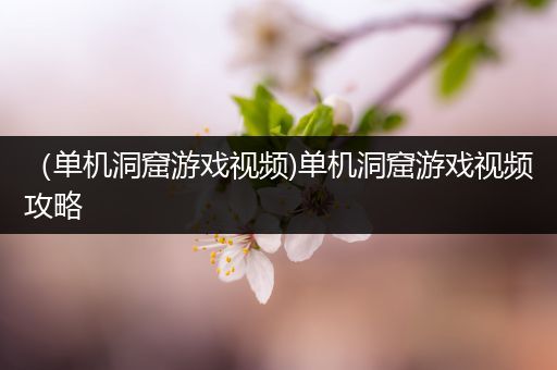 （单机洞窟游戏视频)单机洞窟游戏视频攻略