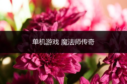 单机游戏 魔法师传奇