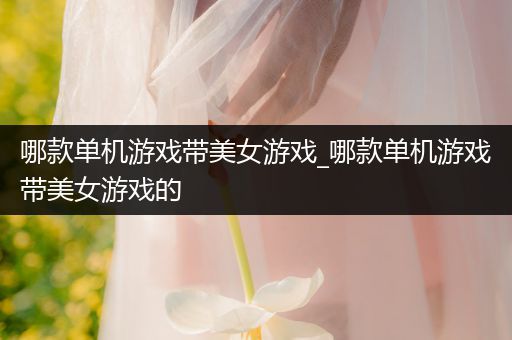 哪款单机游戏带美女游戏_哪款单机游戏带美女游戏的