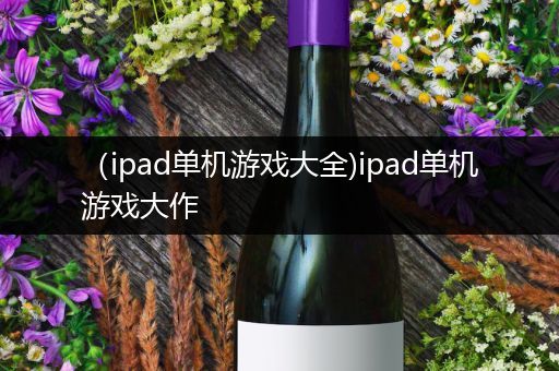 （ipad单机游戏大全)ipad单机游戏大作