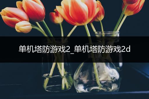 单机塔防游戏2_单机塔防游戏2d